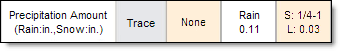 Rain/Snow Amount