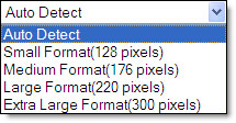 Display Width