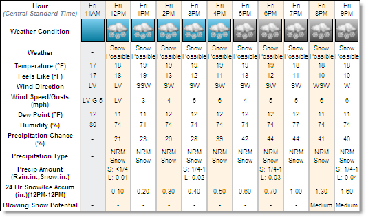 Hourly Forecast