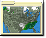 Other Forecasts